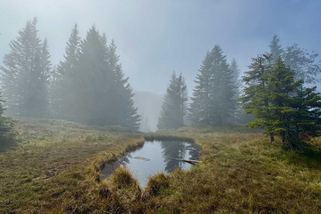 Kleiner Teich in Bezau wirkt mystisch im aufsteigenden Nebel.