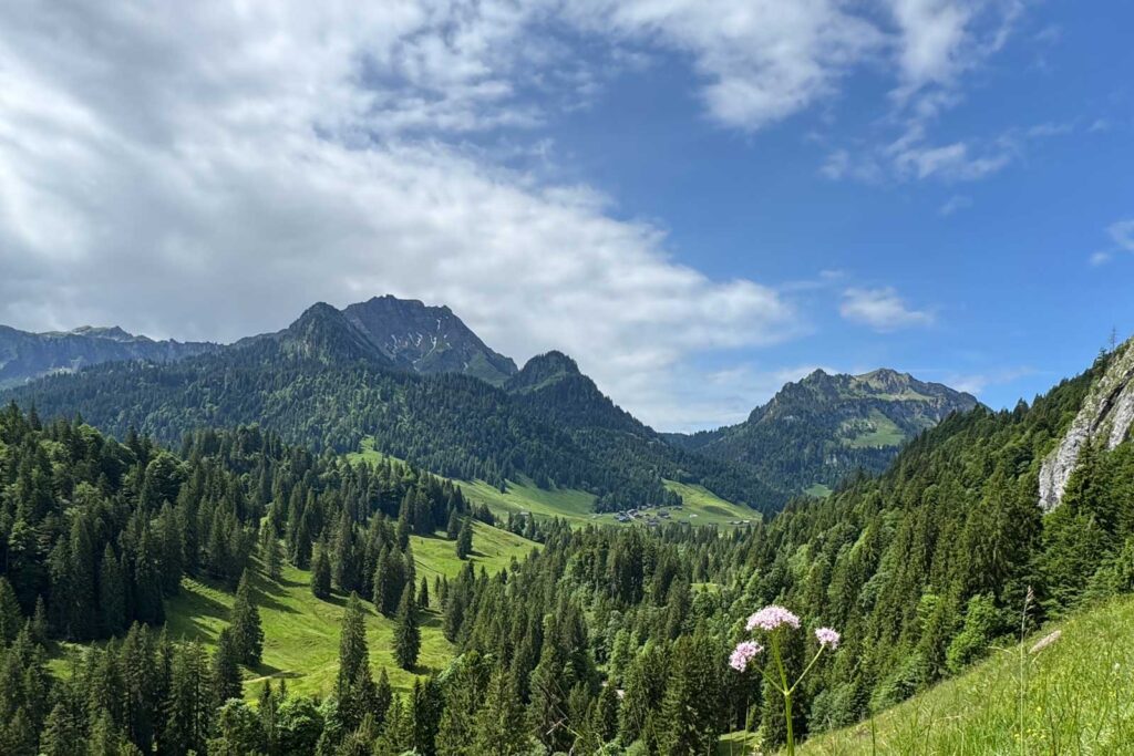 Malerischer Blick auf die Vorsäßsiedlung Schönenbach im weitläufigen Bergtal.