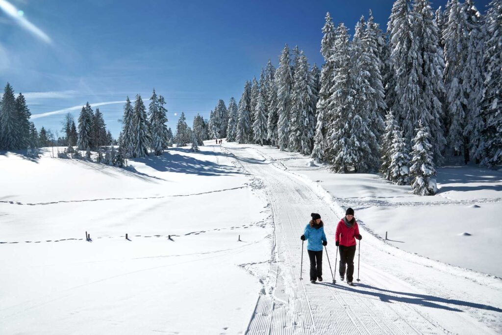 Winterwandern und Langlaufen am Brüggelekopf in Alberschwende genießen.